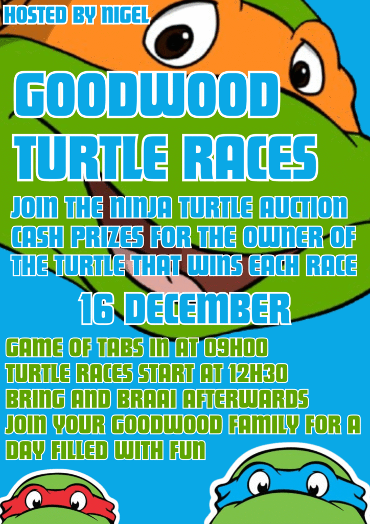 Turtle races event on December 16