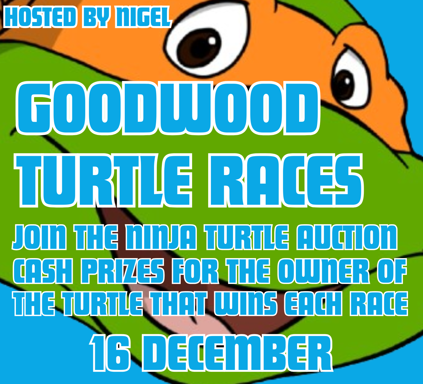 Goodwood Turtle Races 2025🐢
